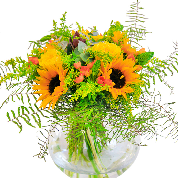 The first impression of this Chase Cross bouquet is one of pure, sunlit exuberance-a celebration of local colour and craftsmanship. Large, open-faced sunflowers, their deep brown centres ringed by vibrant yellow-orange petals, offer a radiant focal point reminiscent of garden walks near Collier Row Lane on a glorious August day. Interwoven with them, yellow garden roses spiral elegantly, their dense petals catching the light and exuding a subtle, sweet scent. The bouquet is further enlivened by glossy, red Hypericum berries, their presence a cheerful highlight dotted throughout the lush mass of greenery. Cascading ferns and delicate sprays of golden filler, such as solidago or goldenrod, spill lightly from the arrangement, adding texture and movement that conjure visions of wild meadows beyond the town. Fleeting glimpses of eucalyptus inject a bluish freshness, tempering the warmth and drawing out subtle contrasts with the dominant yellows and reds. All of these treasures are gathered within a round, transparent glass vase, where the stems can be admired for their elegant construction and the water catches dappled daylight. The composition is equally suited for a joyful celebration or as a welcoming centrepiece for a home along Chase Cross's tree-lined streets-a bouquet that exudes optimism, warmth, and the thoughtful touch of a trusted neighbourhood florist.