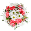 This artful bouquet, crafted in the heart of Chase Cross, is a joyful homage to the area's quiet strength and blossoming parks. At its centre radiate cheerful white daisies, their gold-tipped, lime-green centres framed by gracefully arching coral-pink carnations that bring both warmth and vibrancy. Between these primary blooms, delicate sprays of gypsophila create a dreamy, star-like effect, mimicking the gentle, fleeting beauty of morning mist on Bedfords Park meadows. Emerging from within the plush textures are slender buds of alstroemeria, blushed with sunset tones-hints of new beginnings and unspoken wishes. Silky eucalyptus leaves mingle with velvety deep green foliage, providing a tranquil foundation and a touch of woodland coolness that calls to mind the tree-lined avenues of Chase Cross Lane. The design is bathed in soft, diffuse light against a crisp, clean background, highlighting the thoughtful harmony and vividness of every petal and sprig. Every aspect, from the tactile caress of petals to the balanced circular shape, reflects the detailed craftsmanship and community spirit of Chase Cross floristry. Whether given in thanks, celebration, or simply to brighten a kitchen table along Havering Road, this bouquet embodies an exuberant yet peaceful charm, bringing a flourish of Chase Cross freshness into everyday life.